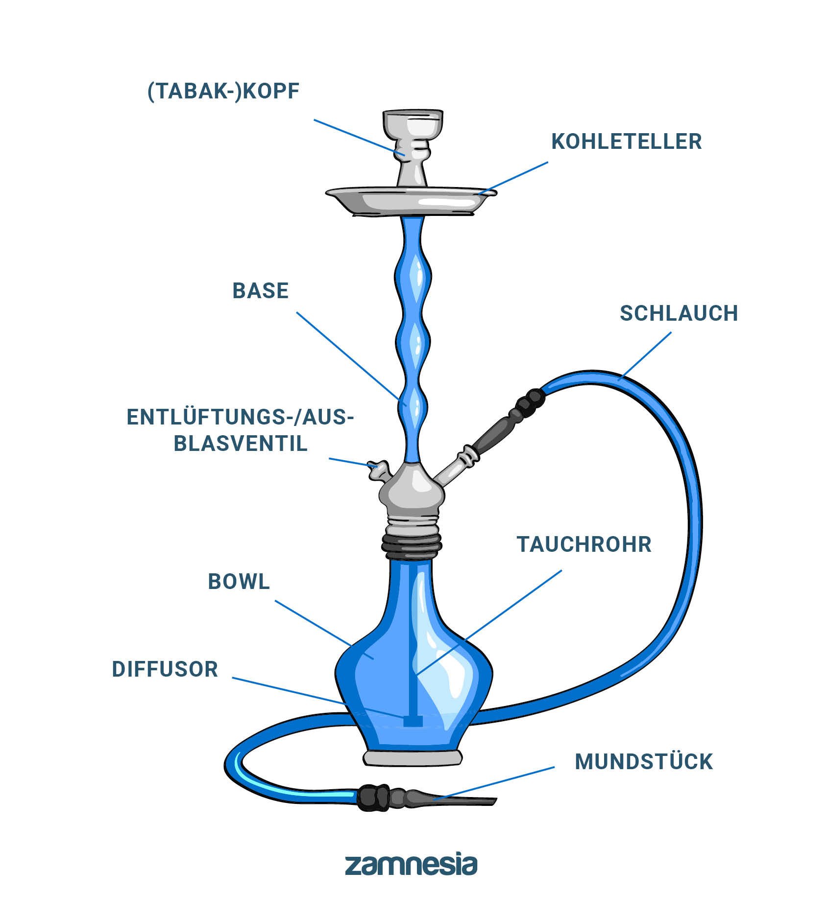 Wie Man Eine Shisha Aufbaut Zamnesia